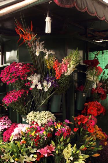 flores colores, puesto de flores, bombita bajo consumo colgando