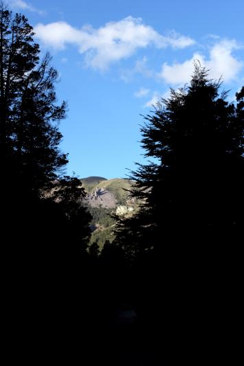paisaje contraluz montañas pinos cielo