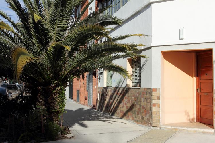 barrio, vereda, palmera, pared rosa, puerta de madera, sol de mediodia