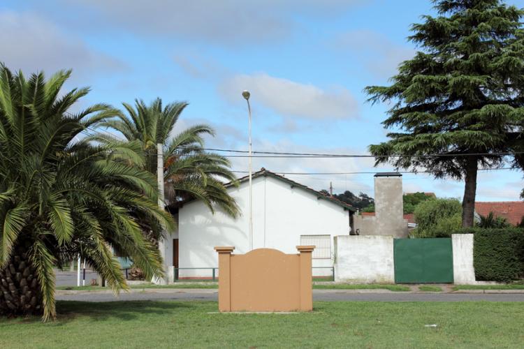 plaza, palmera, monumento rosa, casa