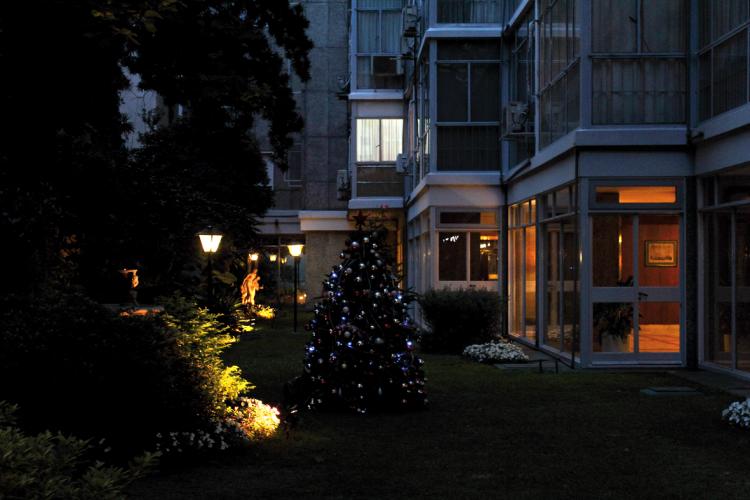 jardin interior, arbol de navidad, luz de exterior, pallier, ventana enciendida