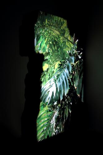 backlight escultura de luz follaje hojas tropical 