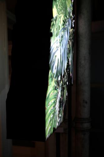 backlight escultura de luz follaje hojas tropical 